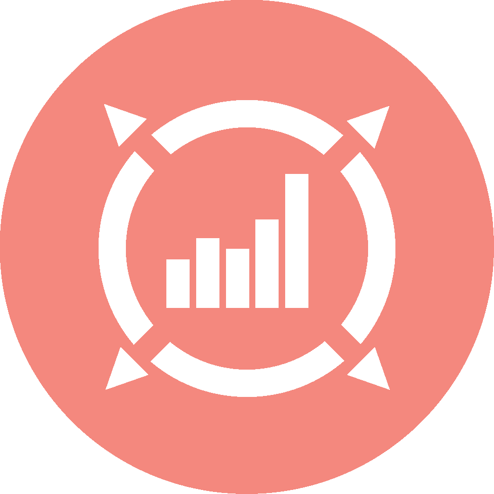 Valysis Logo
